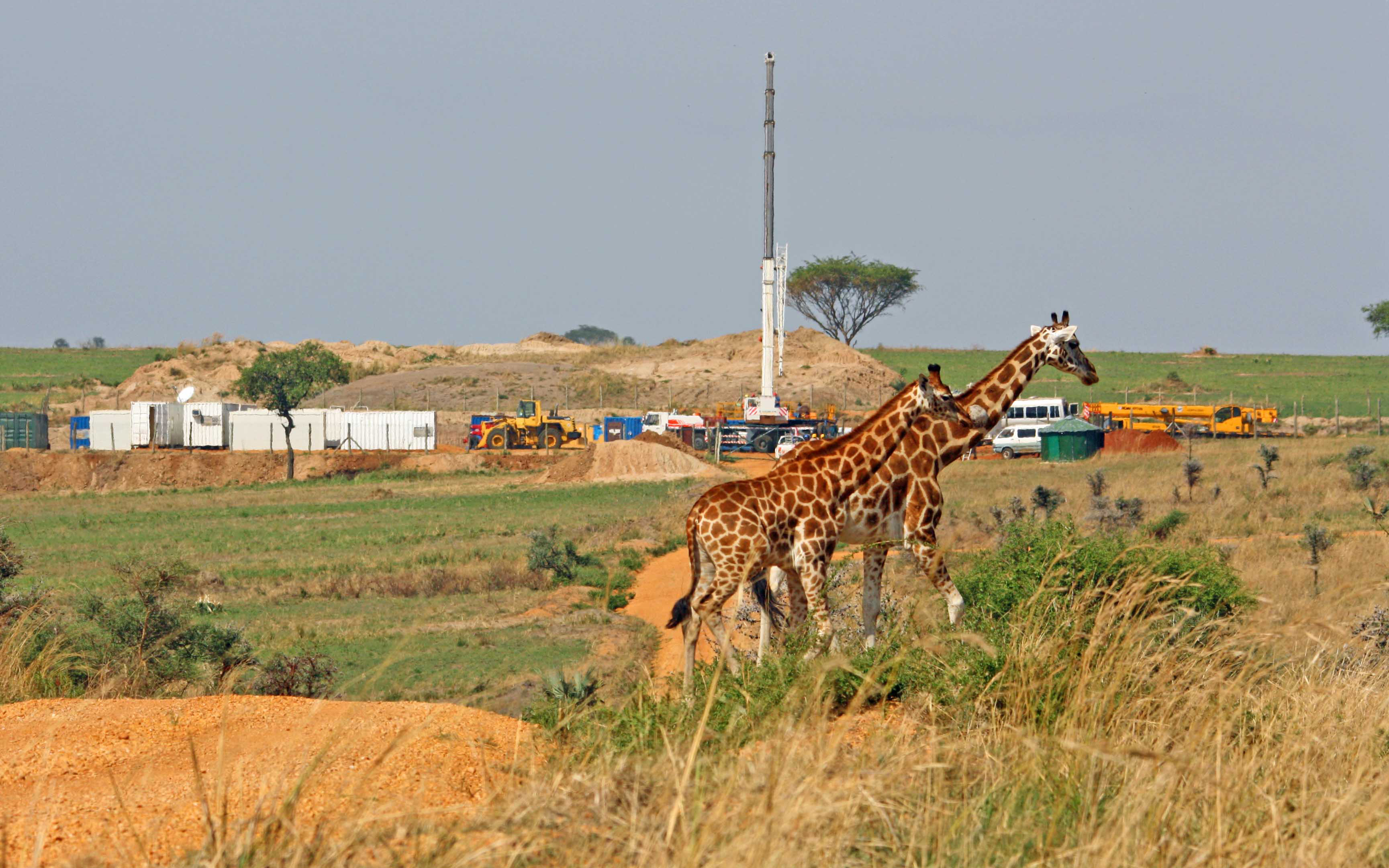 Industrial activity is increasingly impacting wildlife habitat in the African savannah.