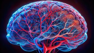 An international consortium led by CHeBA’s Professor Perminder Sachdev and Adam Bentvelzen has published updated diagnostic criteria for vascular cognitive impairment and dementia (VCID) in JAMA Neurology. The VASCOG-2-WSO criteria, developed via a Delphi consensus process with input from over 50 global experts, incorporate the latest scientific advances in neuroimaging and biomarkers.