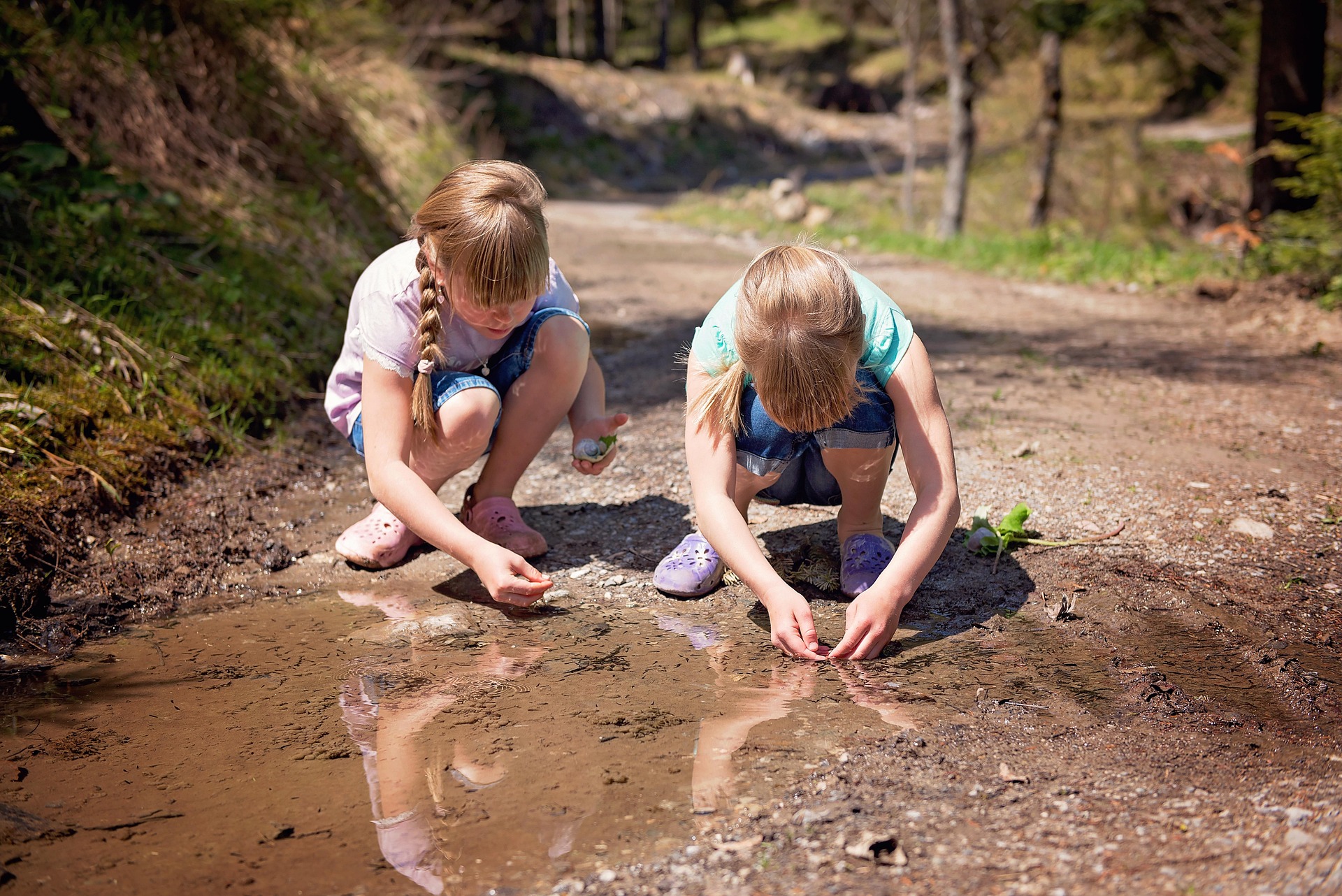 Stock image by Petra from Pixabay