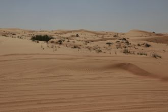 Turning Desert Sand into Construction Bricks