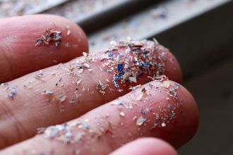 Breathing in microplastics can cause inflammation and damage to the lungs, potentially increasing the risk of respiratory diseases, new research suggests.