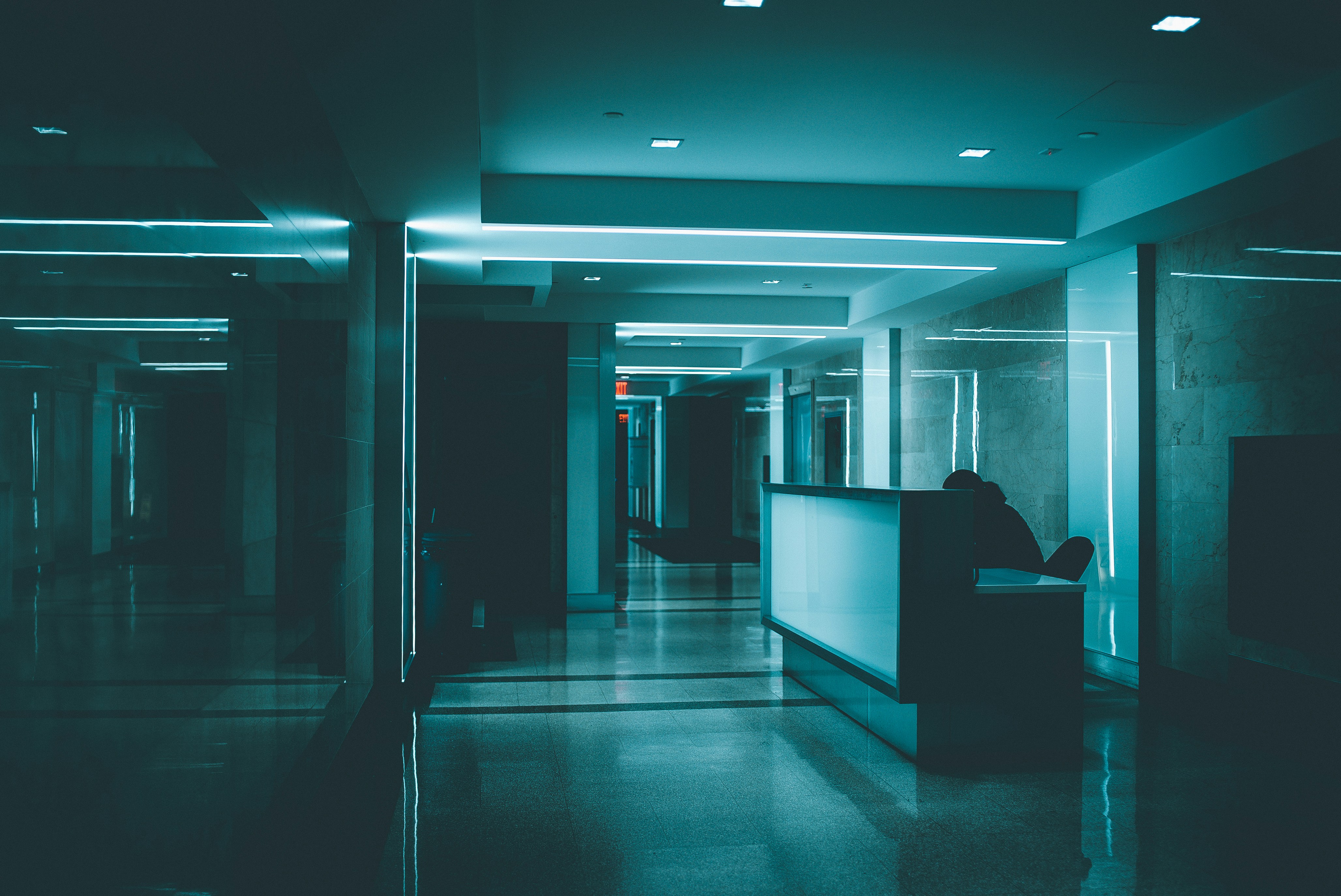 Photo by Brandon Holmes on Unsplash
