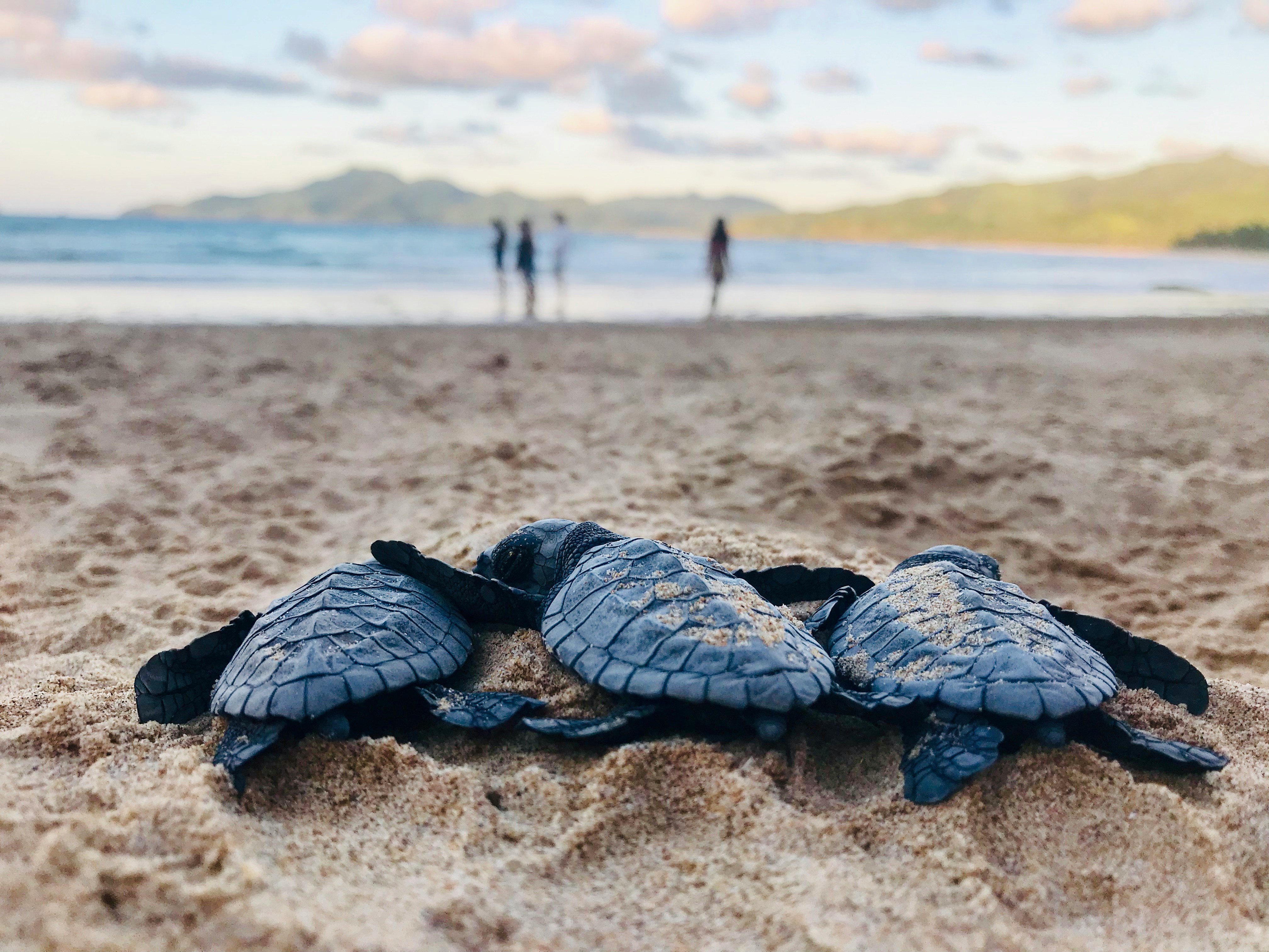 Photo by David Reynolds on Unsplash