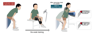 Gain of sit-to-stand function