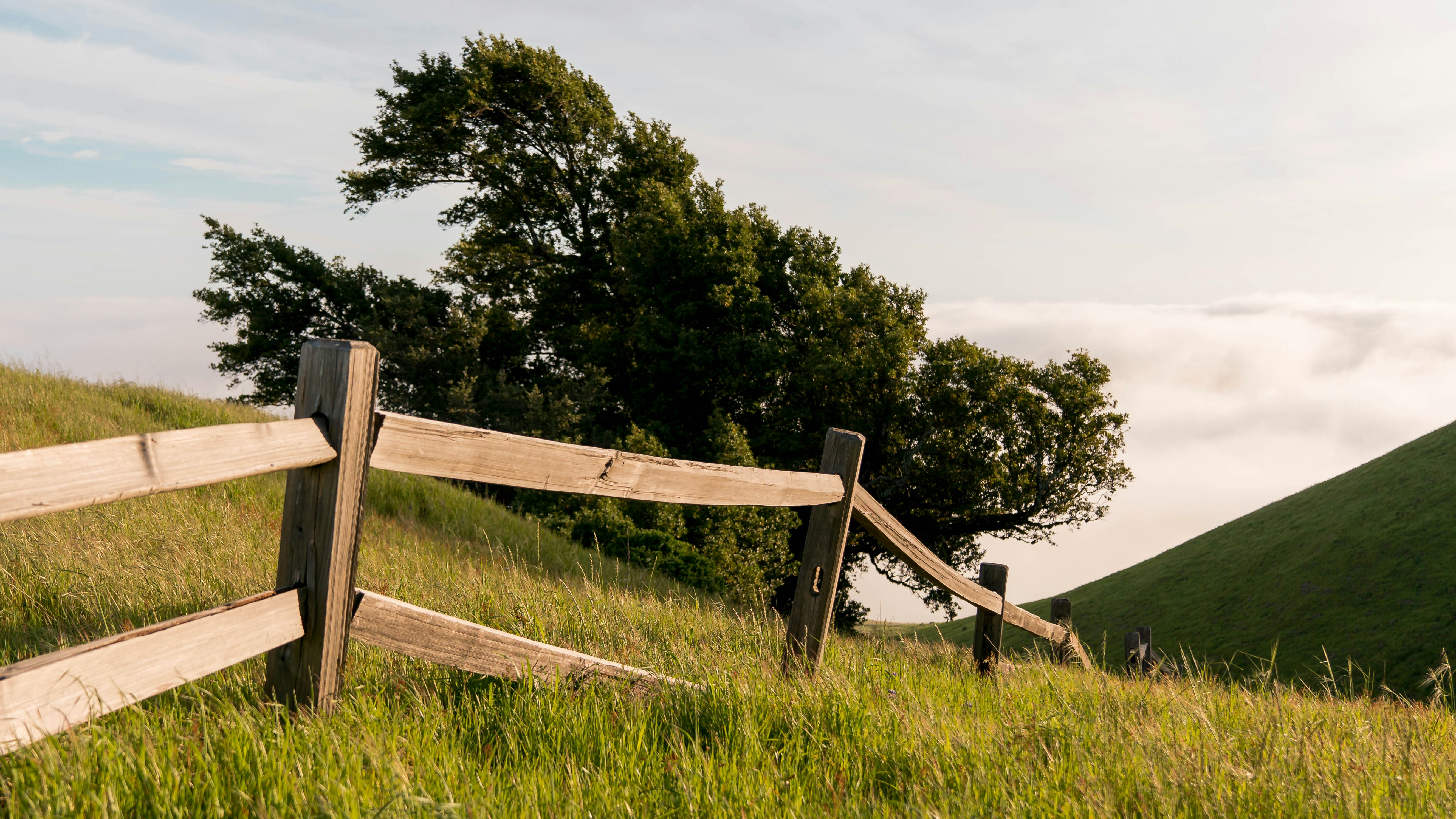 Photo by Francisco Delgado on Unsplash