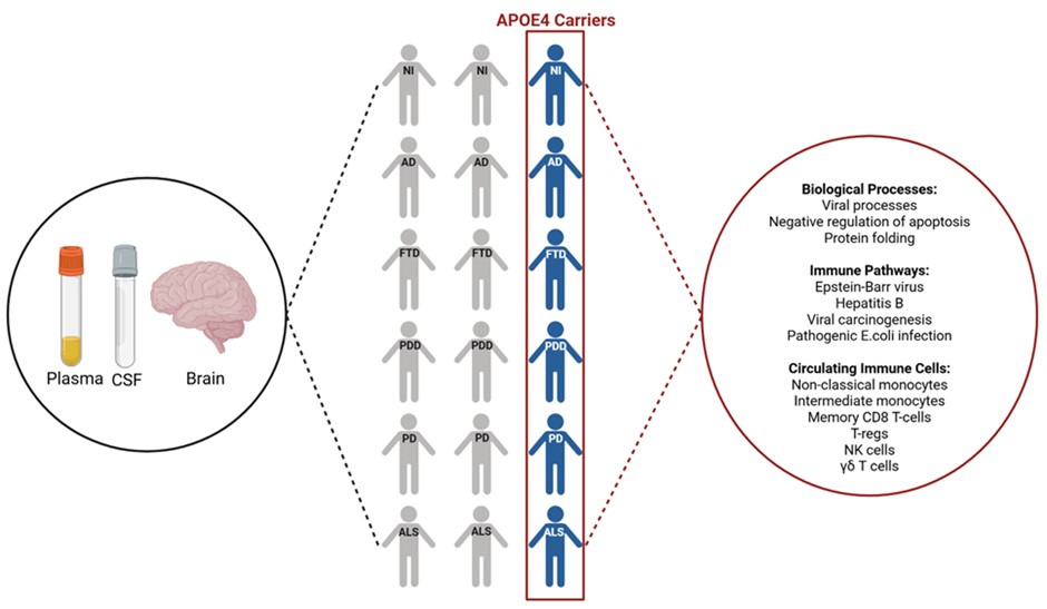 The Westmead Institute for Medical Research