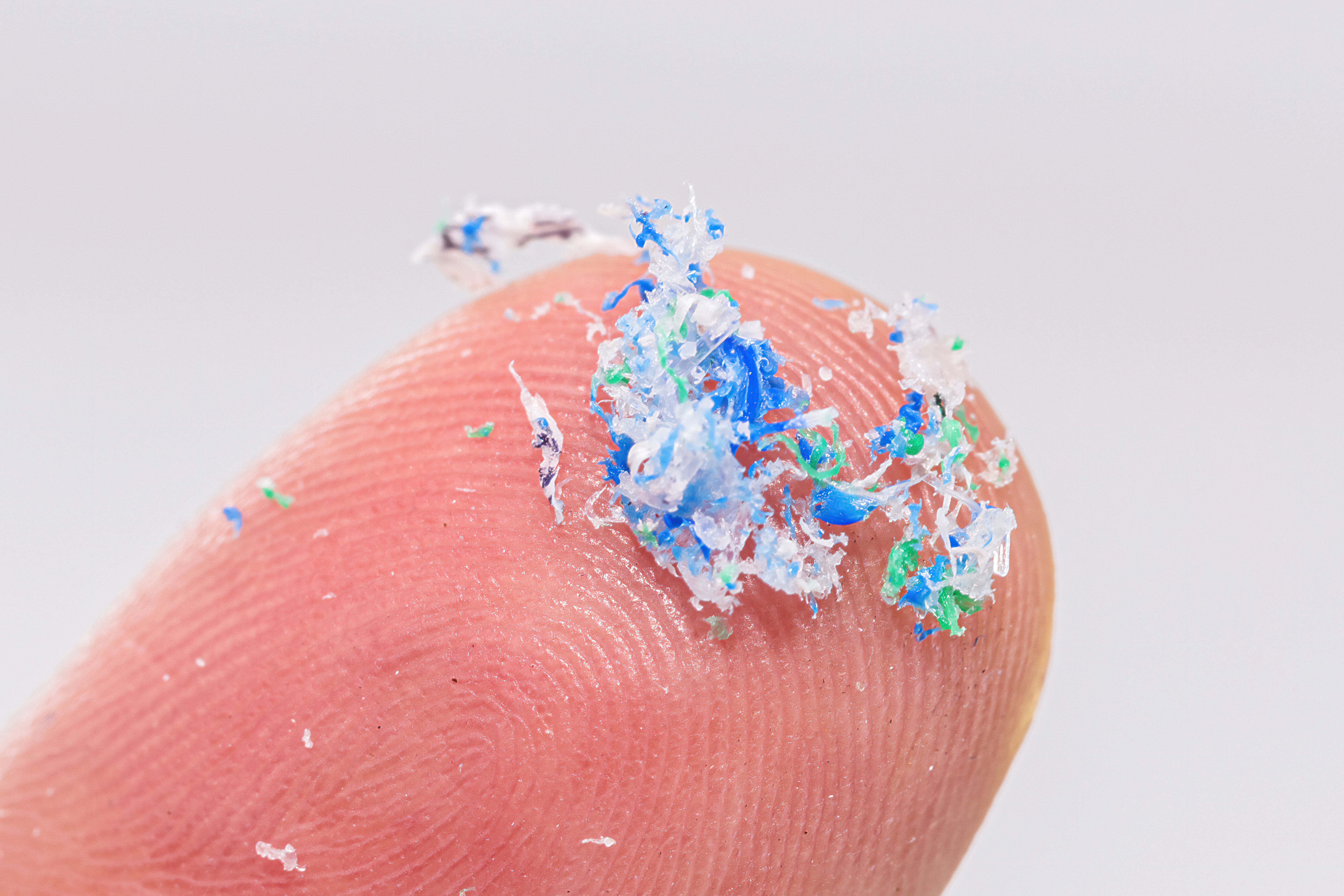 Image: Adobe Stock by RHJ