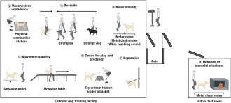 Temperament assessment test process 