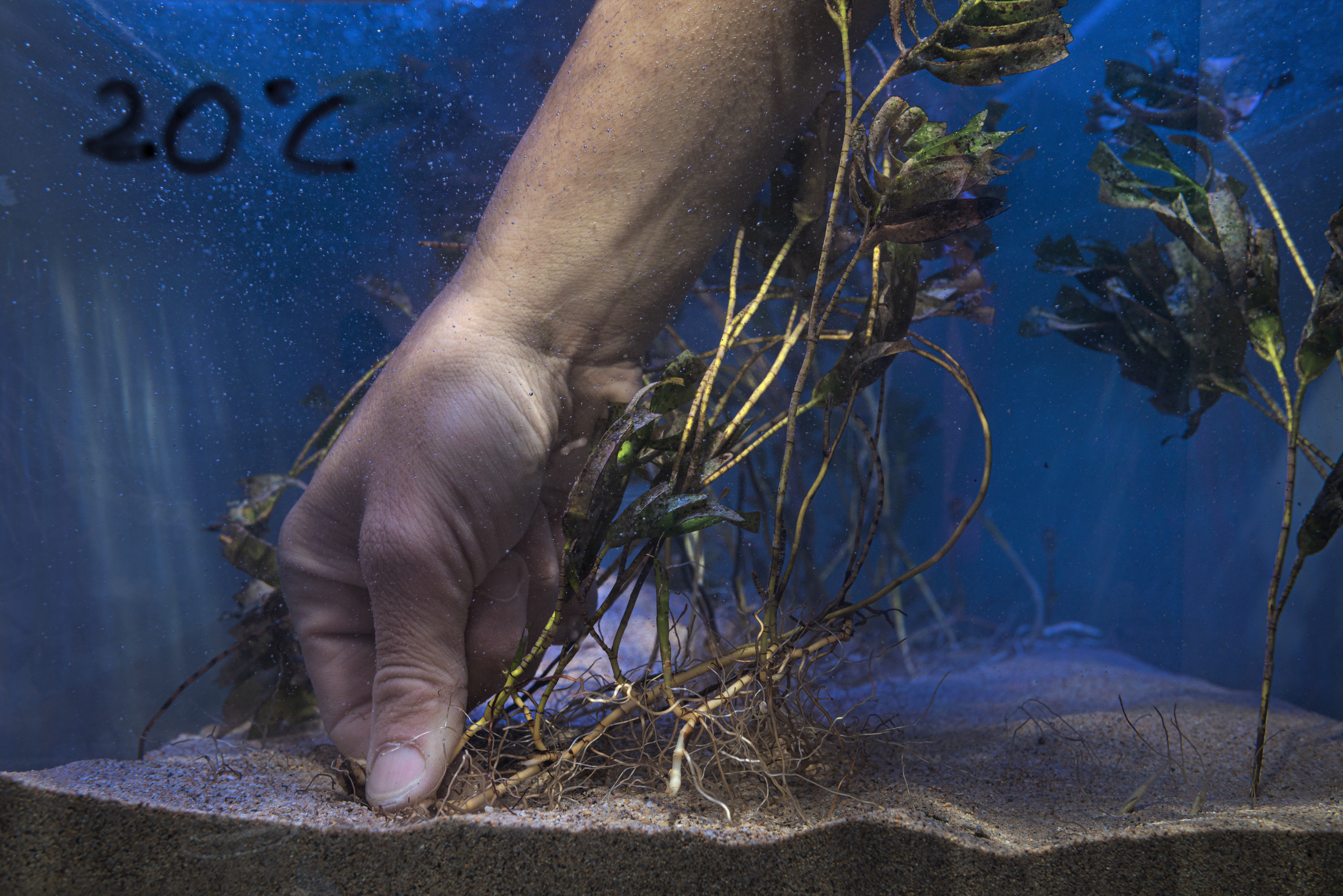 Credit: Giacomo d'Orlando