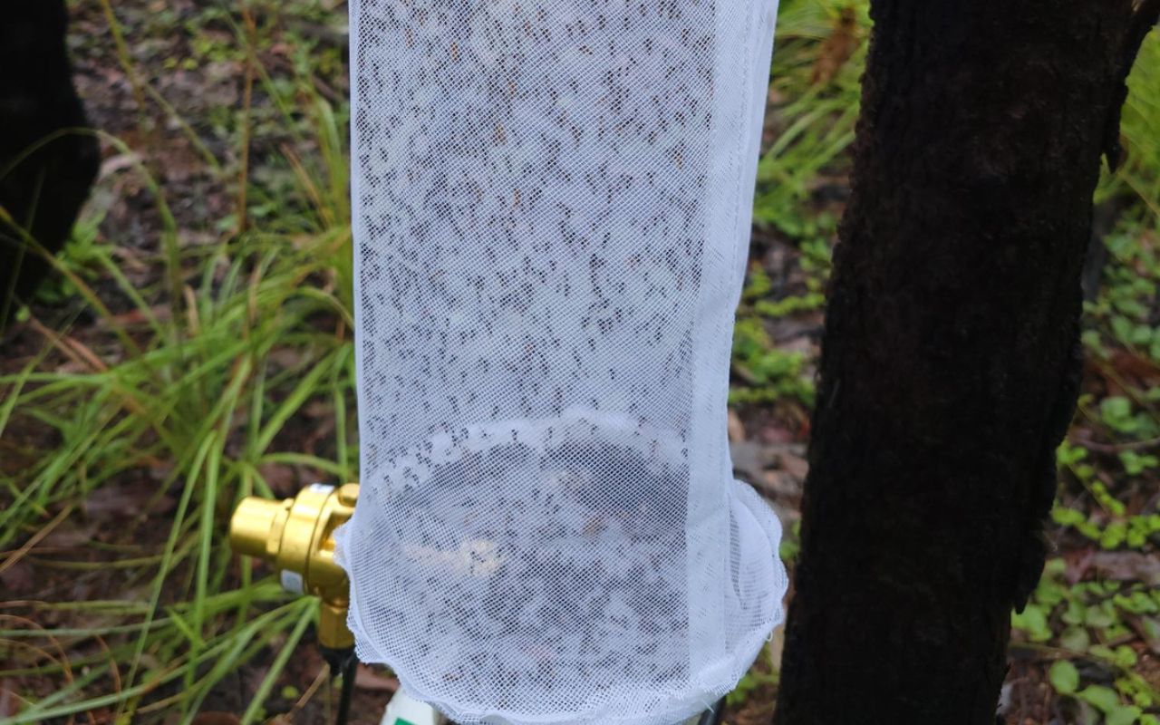 Supplied by researchers