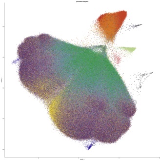 Mapping the immune system