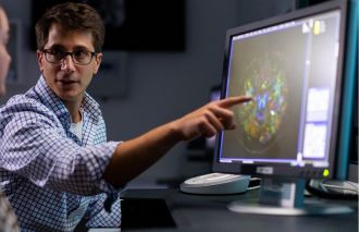 UniSC Research Fellow in Neuroimaging Dr Jacob Levenstein