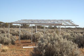 Despite evidence grasslands and shrublands can adapt to periods of moderate drought, they can’t withstand prolonged periods of extreme dryness. An international collaboration, including researchers from Murdoch University, has found even native systems capable of acclimatising to moderate drought are no match for more extreme conditions.