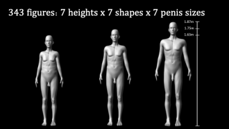 Human penis size may indicate male attractiveness and fighting ability, with a larger size more attractive to women and more likely to intimidate rivals, according to Australian and South African researchers. The team asked more than 600 male and 200 female participants to rate computer-generated male figures that varied in height, body shape, and penis size. Women rated the figures’ sexual attractiveness, while men assessed how threatening they found them, both in terms of fighting ability and as a sexual rival. Women rated taller male figures with a higher shoulder-to-hip ratio (indicating a more V-shaped body) and a larger penis as being more attractive, but only up to a point, when further increases in penis size made little difference. Males also rated taller figures with more V-shaped bodies and larger penises as being more intimidating, both as sexual rivals and fighting opponents. But, in contrast to females, men consistently ranked males with ever larger penises as more of a sexual threat, suggesting they overestimate the importance of penis size in attracting a mate. These pressures may help explain why humans evolved larger penises than other primates, the authors conclude.