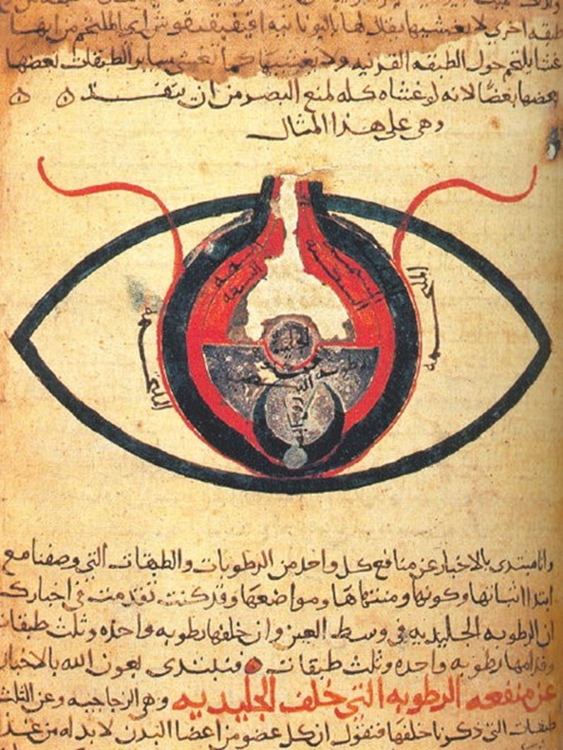 A page from the Arabic manuscript from the 12th century about the eye authored by Hunayn bin Ishaq. It is part of his seminal text al-Masāʾil fī al-Tibb (Questions on Medicine for Students). This manuscript, dated circa 1200CE, is kept at the Cairo National Library. Credit: Cairo National Library