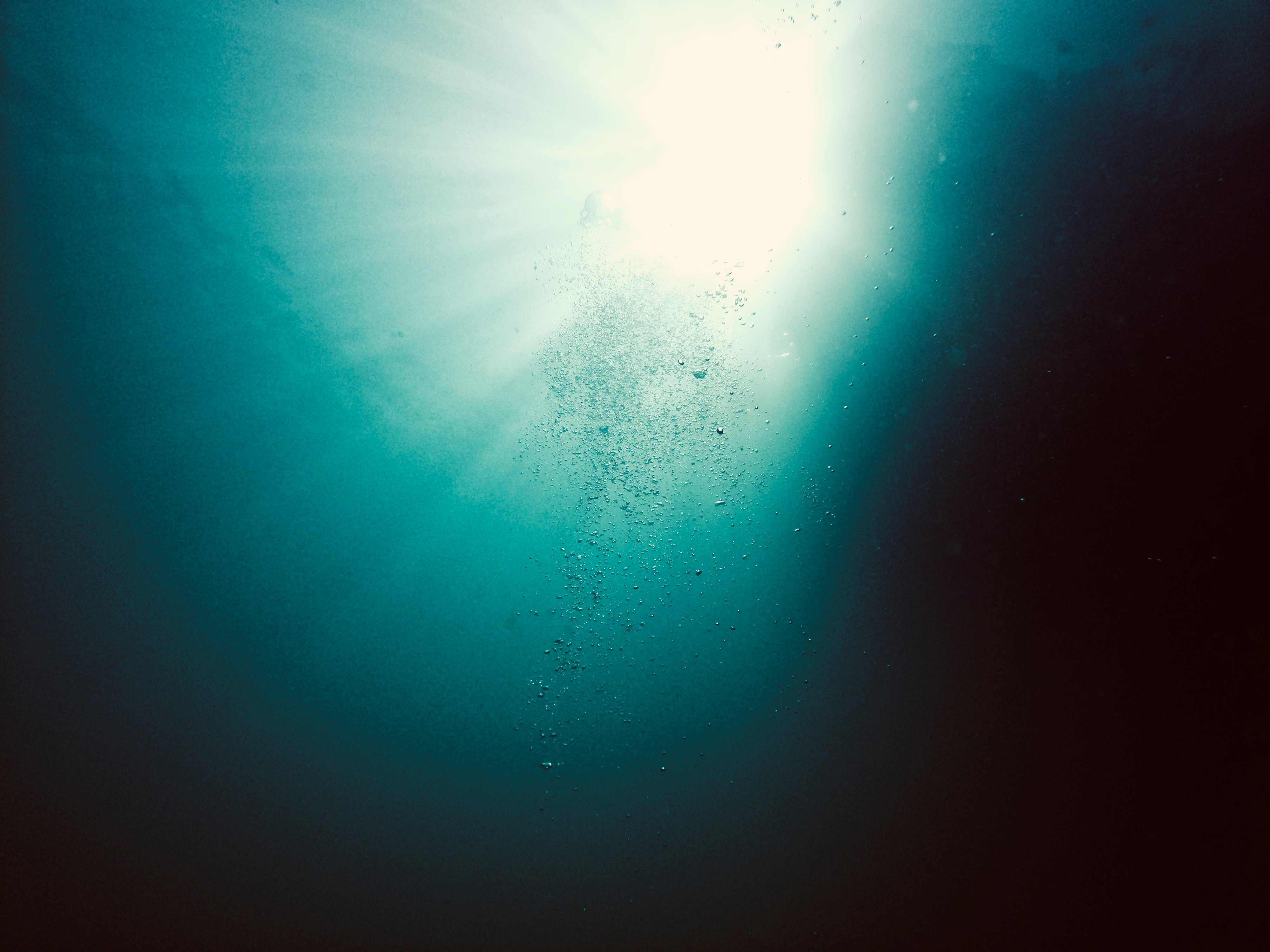 Photo by Elion Jashari on Unsplash