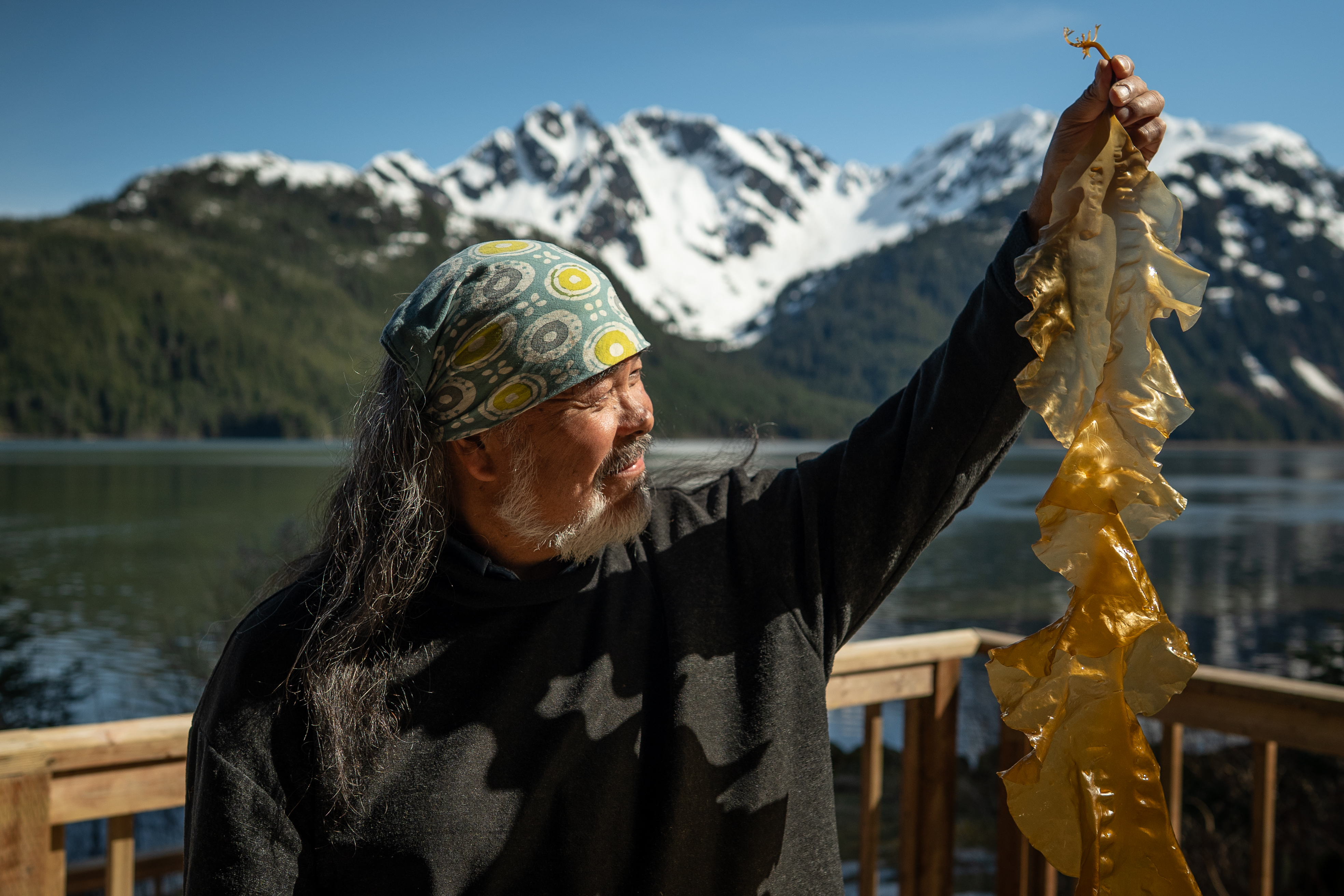 Dune Lankard, founder and president of the Native Conservancy, harvesting Saccharina latissima in Prince William Sound, Alaska. Credit Ayşe Gürsöz