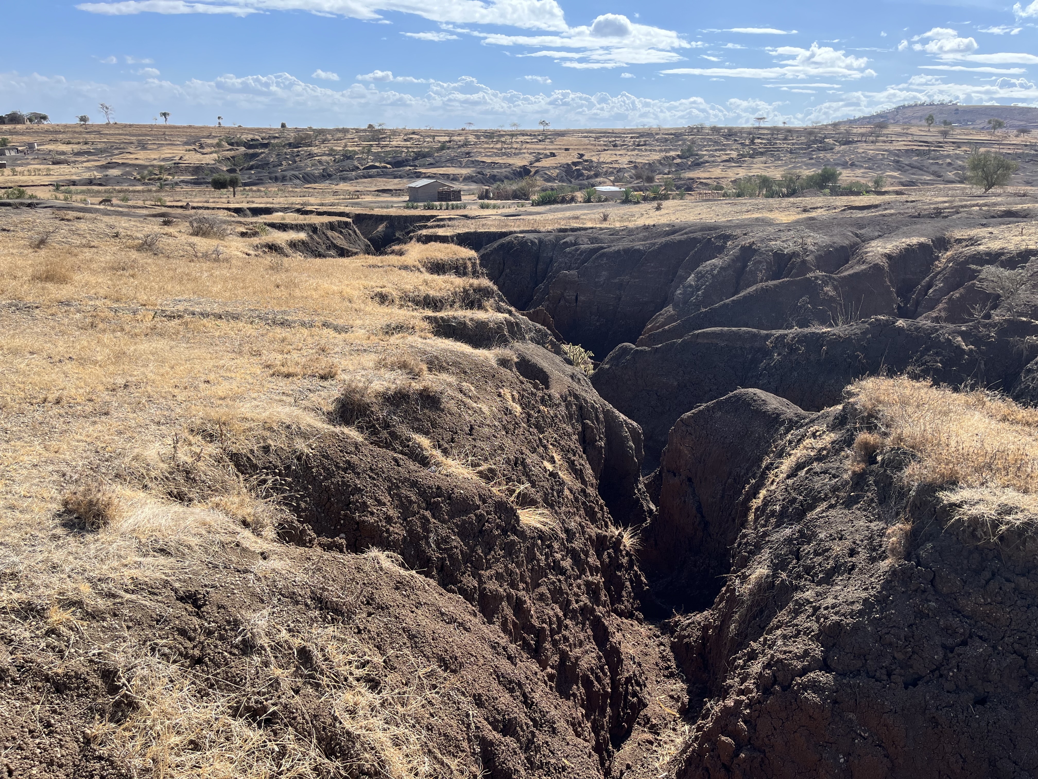 Schools, homes and agricultural land in Tanzania are being impacted by "mega gullies" such as this. Credit: Maarten Wynants