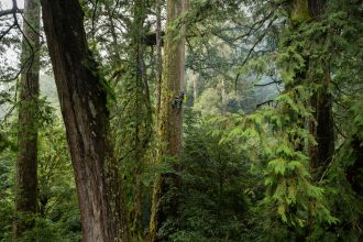 The Tree Projects Taiwan 2022