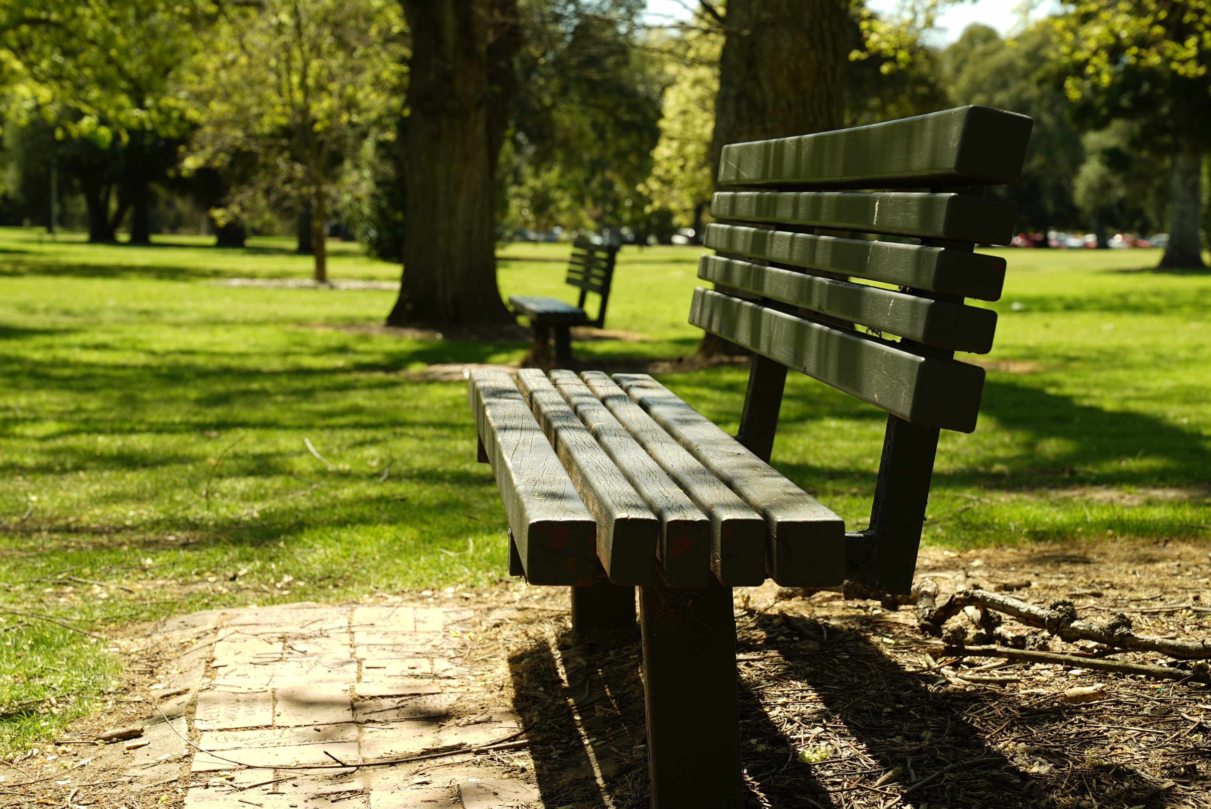Image by Spencer Wing from Pixabay