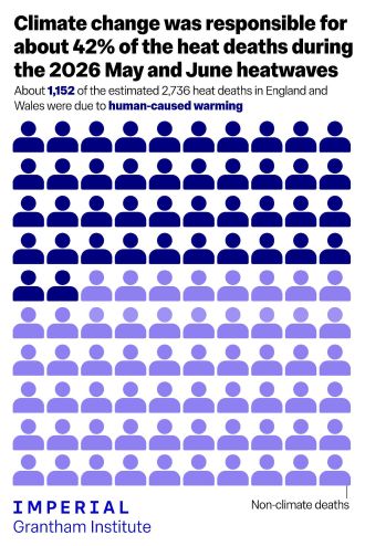 Illustration of the proportion of estimated deaths 