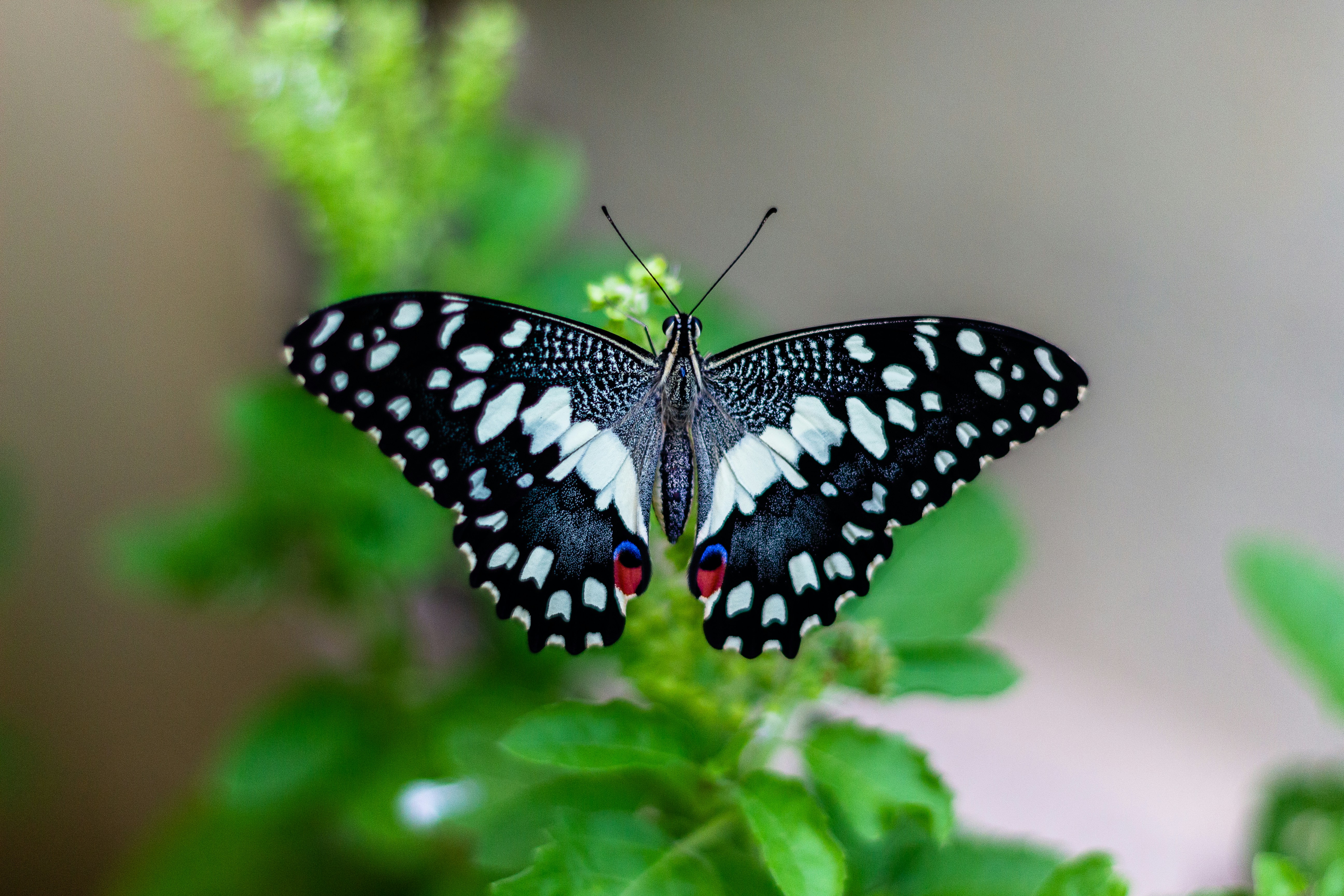 Photo by Vivek Doshi on Unsplash