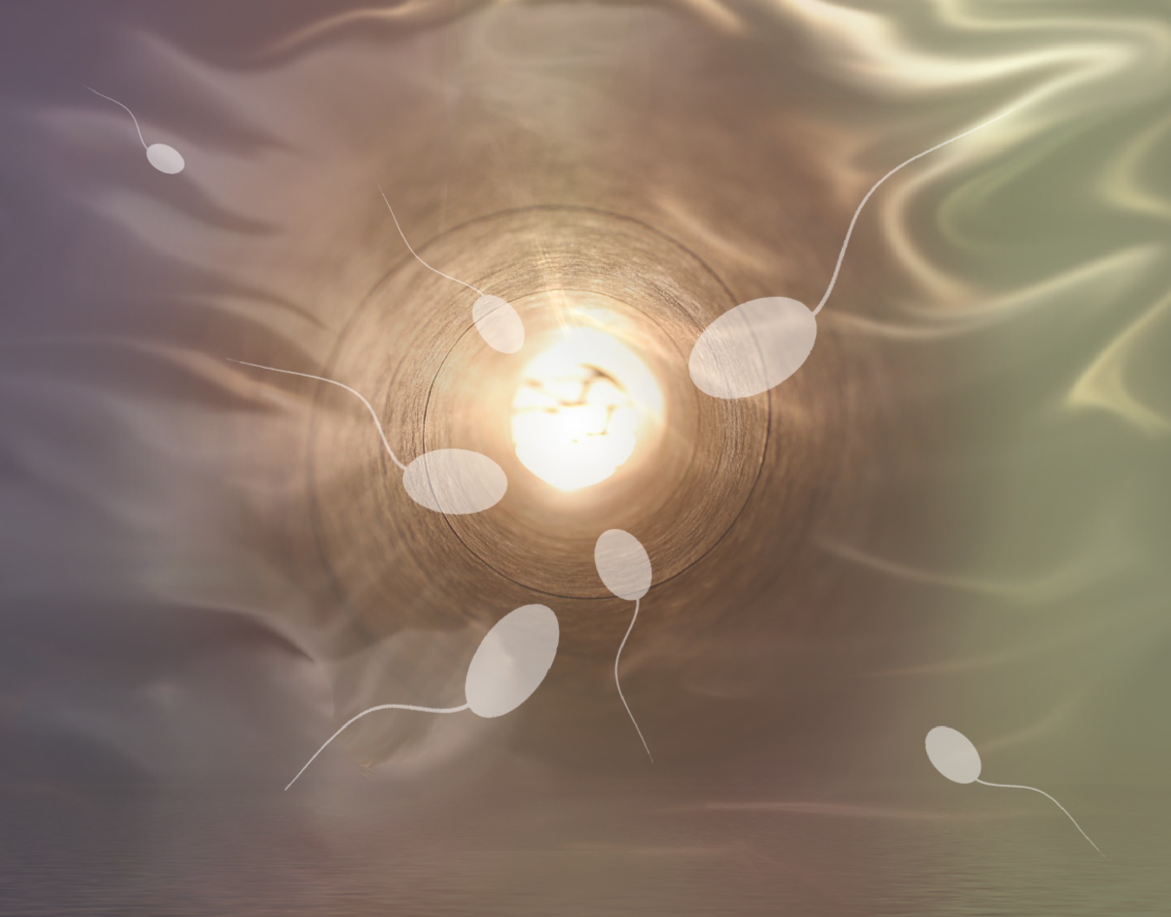sperm image by Karin Henseler from Pixabay