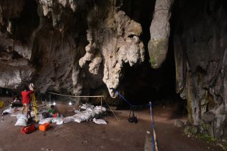 Excavations at Leang Panninge cave.