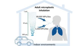 Indoor microplastic concentrations.