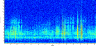 Waterbug chorus spectogram