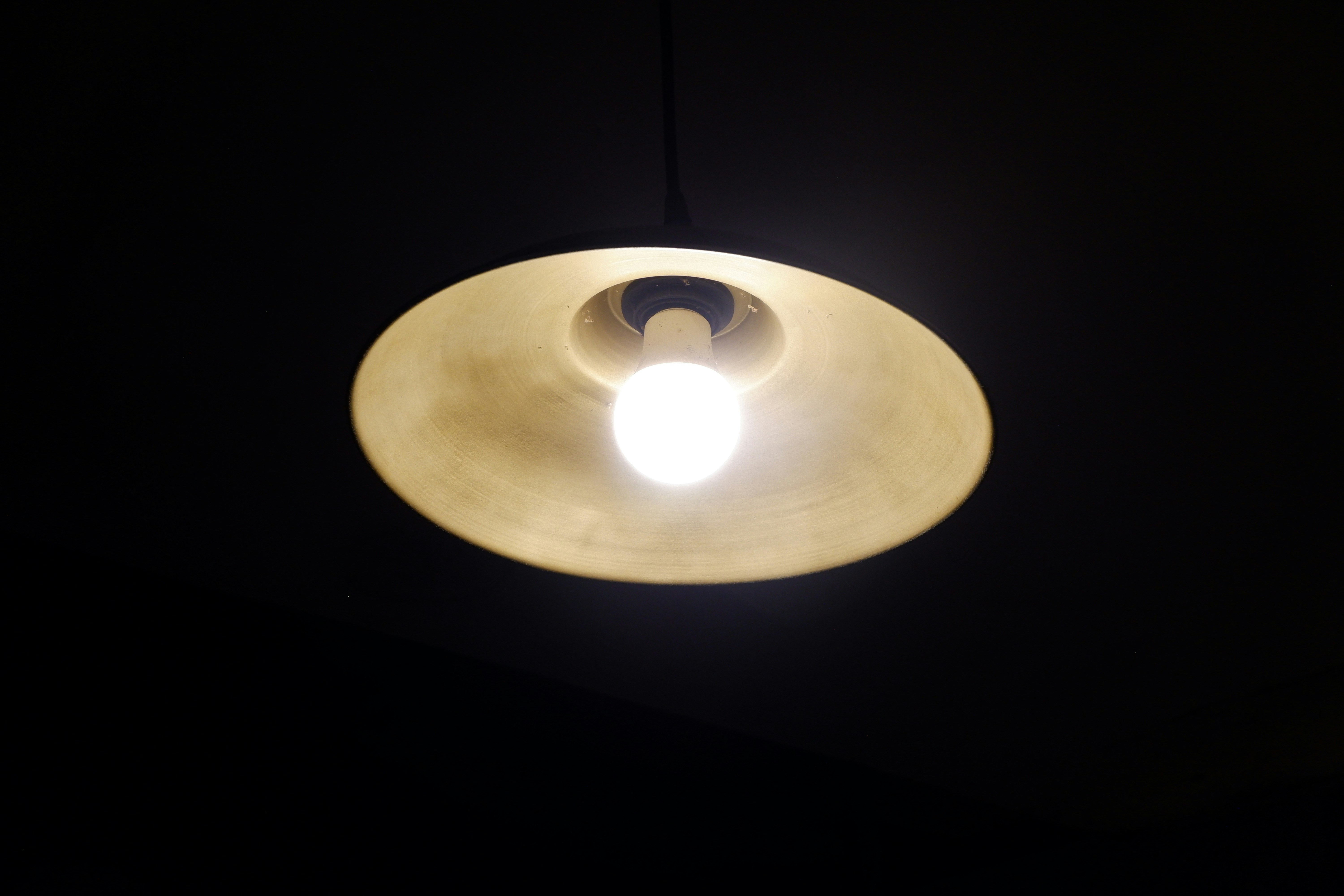 Jepretualang on Unsplash