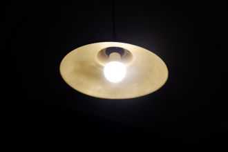 What makes some people turn off the lights when they leave the room, while others leave them blazing? It turns out that it’s not related to income or gender - it comes down to attitude. Researchers reviewed 100 papers with more than 400,000 participants, and found that the strongest factors associated with domestic energy saving were psychological, including attitudes towards energy use, and self-efficacy - a person’s belief in their ability to successfully carry out tasks. Most sociodemographic factors had no significant association with energy saving. Domestic energy use counts for 20% of total energy use in the US and the EU, and the researchers suggest that campaigns aimed at using less energy at home can use this knowledge to become more effective, for instance by targeting how capable people feel of saving energy, or reminding people of the other pro-environmental actions they already do.