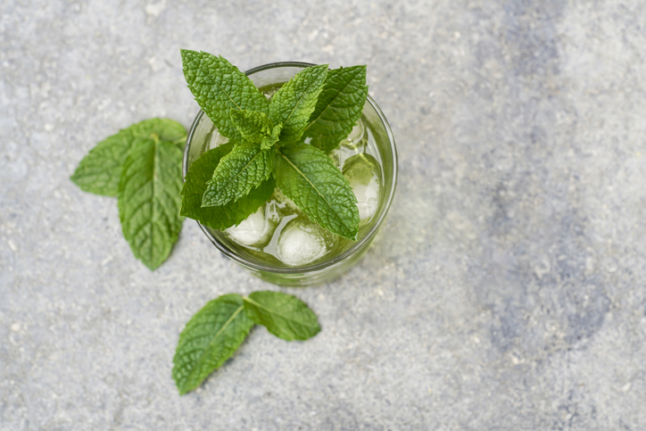 Mints leaves inspired new coating using plasma technology - Getty Images