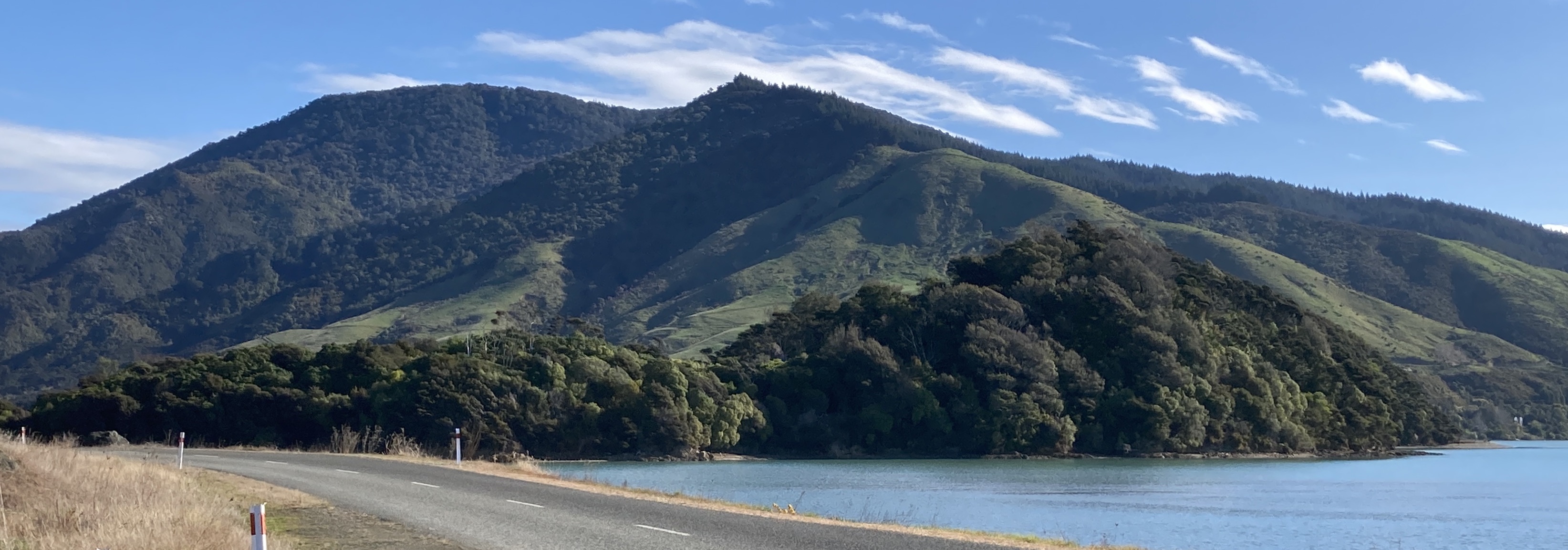 By Mike Dickison - Own work, CC BY-SA 4.0, https://commons.wikimedia.org/w/index.php?curid=93421176