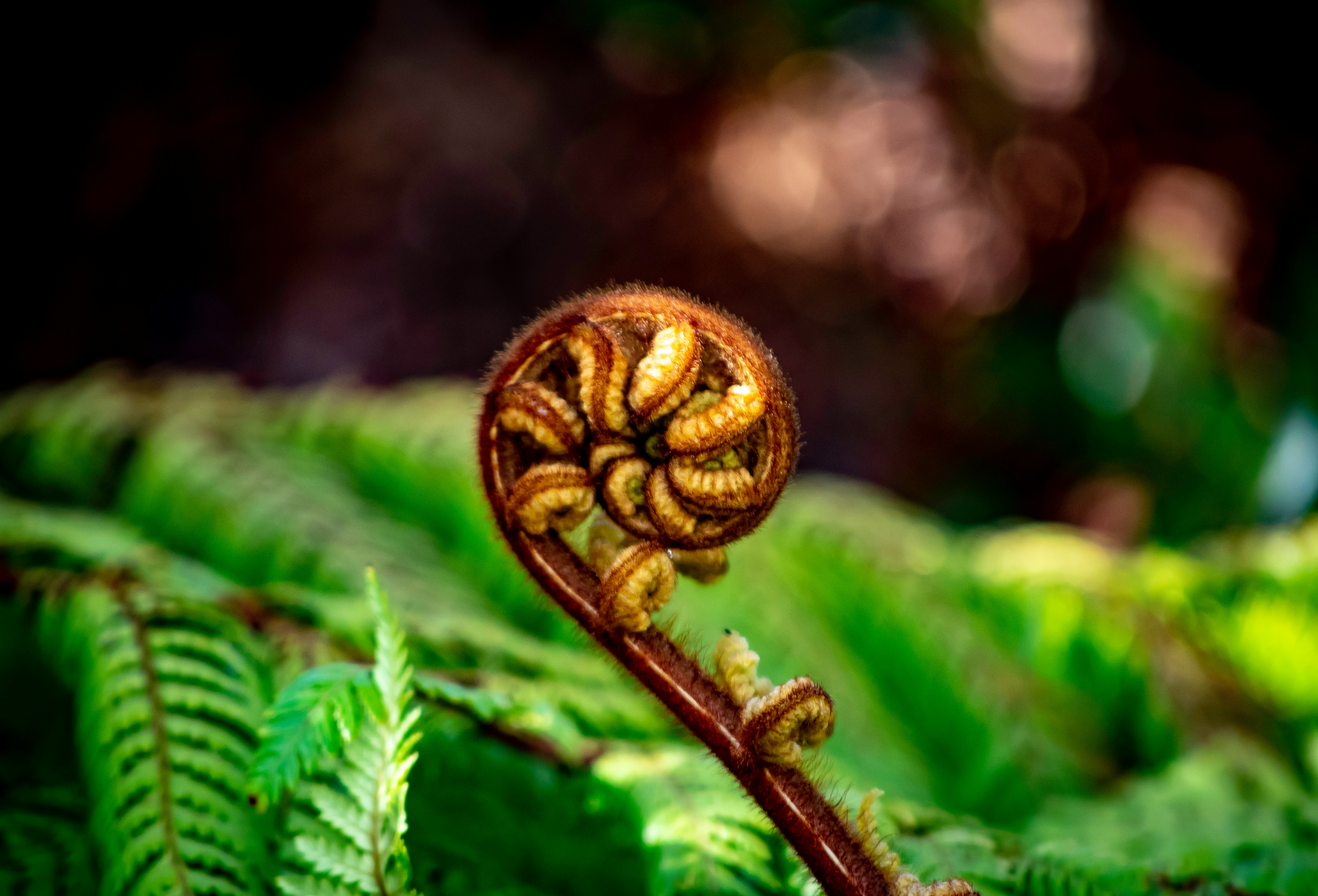 Photo by Duskfall Crew on Unsplash