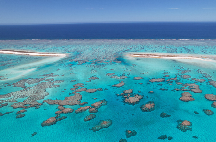 Aerial view of a Chesterfield–Bellona Plateau reef in the Coral Sea, where coral populations were sampled for this study. Credit: Magali Boussion
