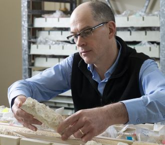 Professor Jody Webster in the laboratory