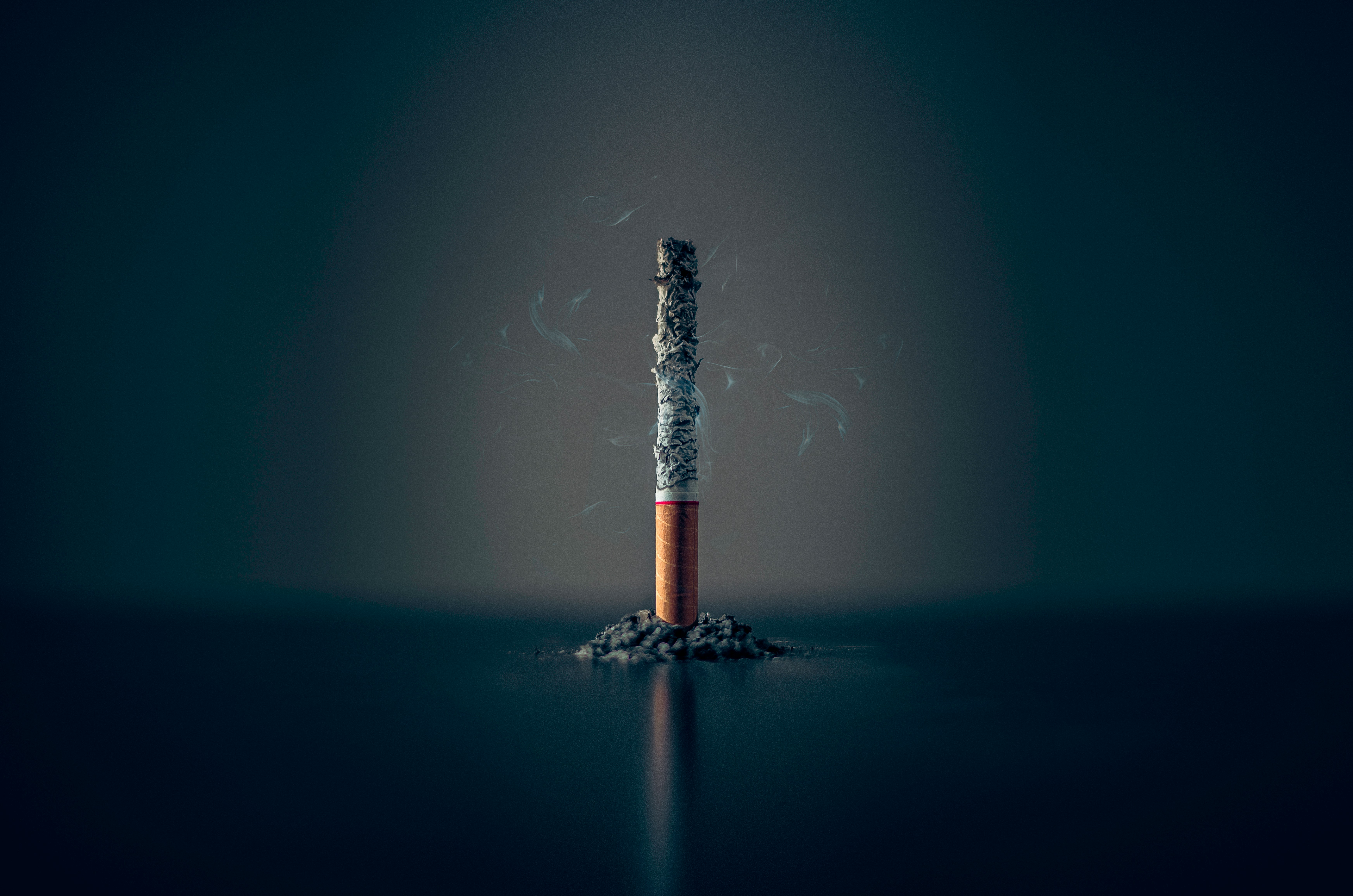 Photo by Mathew MacQuarrie on Unsplash