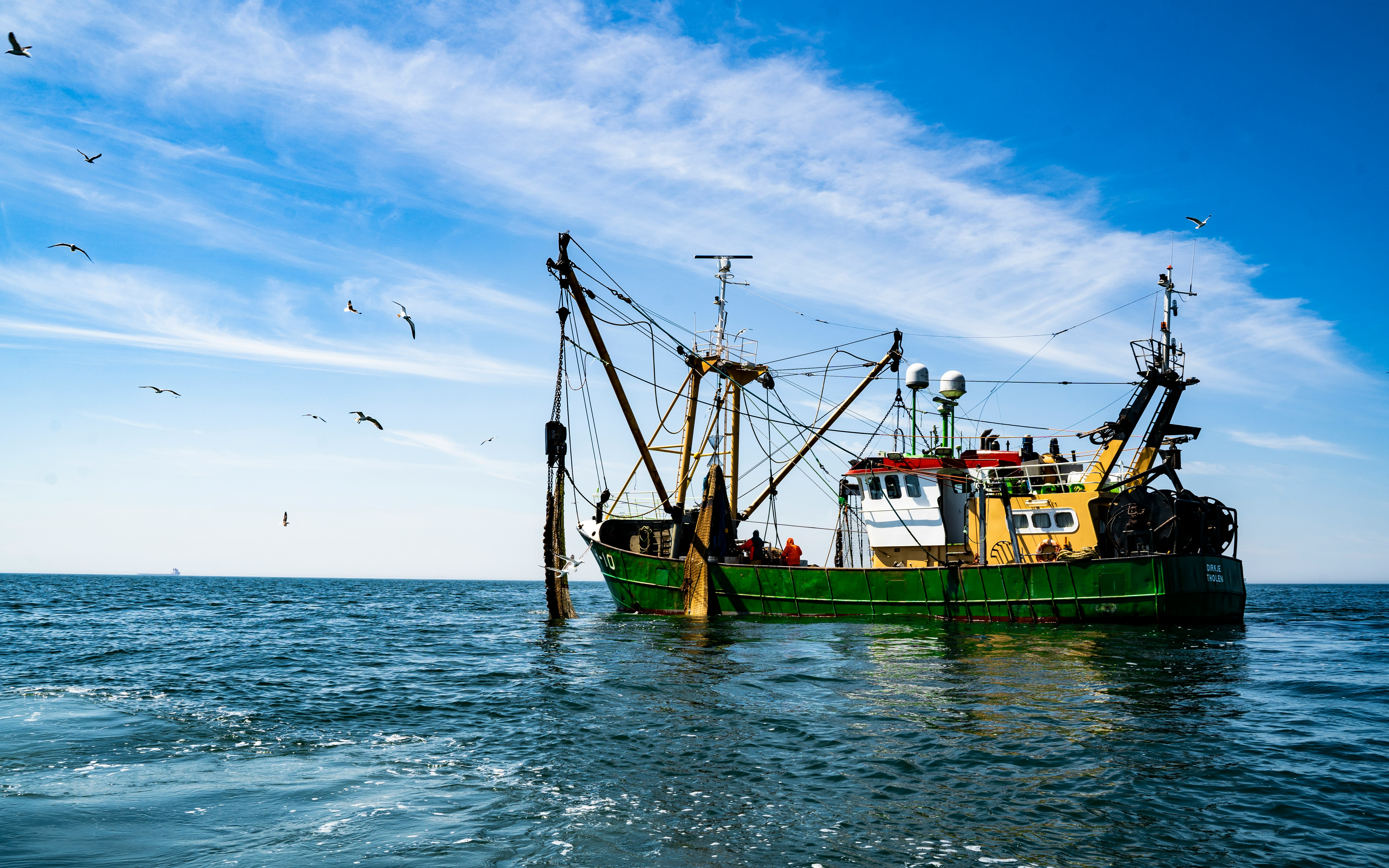 Photo by Paul Einerhand on Unsplash