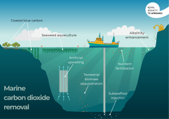 Summary Diagram