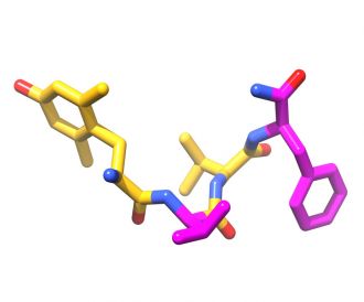 The molecular structure of the Bilorphin tetrapeptide
