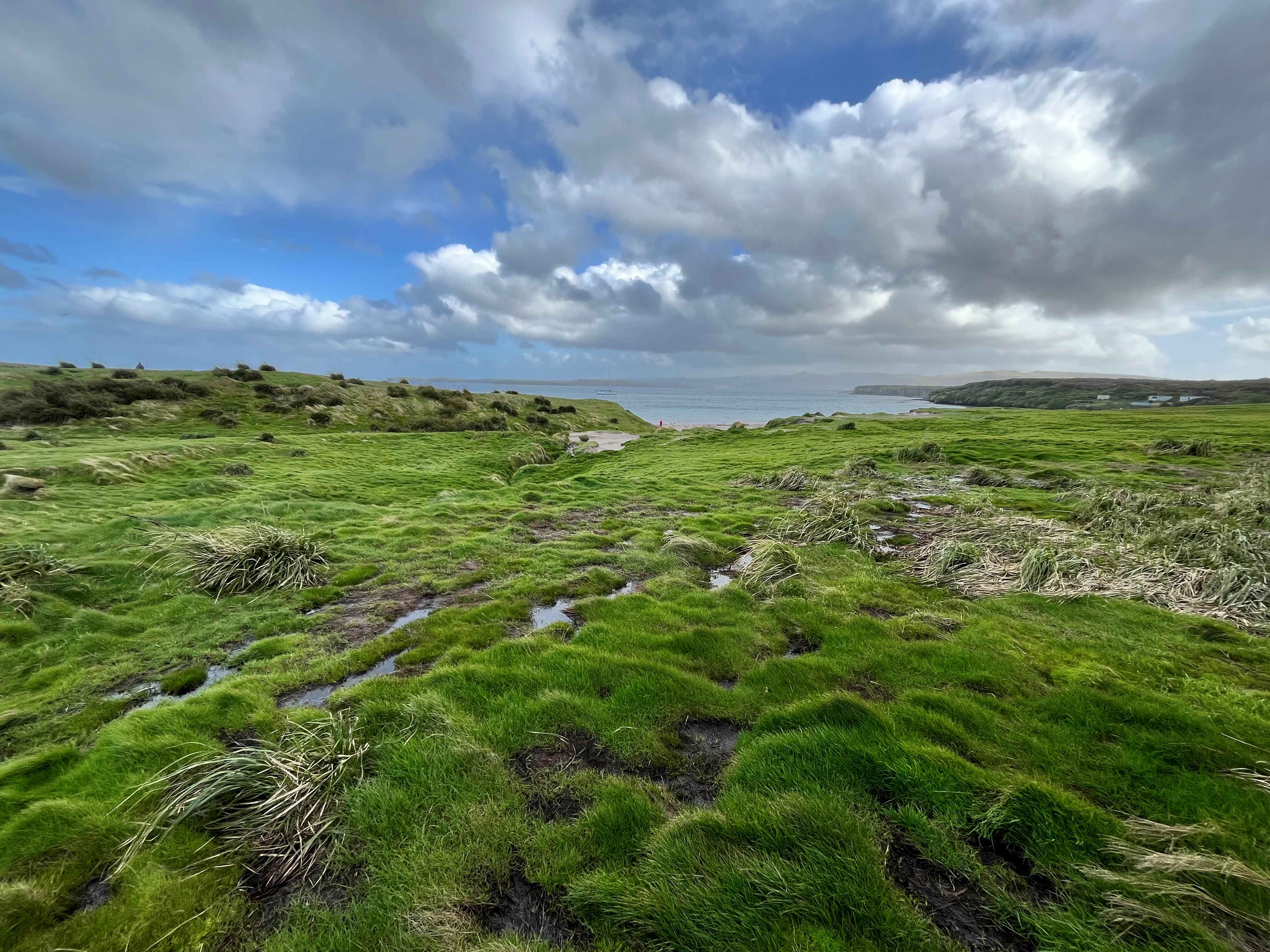 Sandy Bay coring site looking towards dunes - image supplied