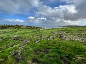 Sandy Bay coring site looking towards the dunes - Enderby Island