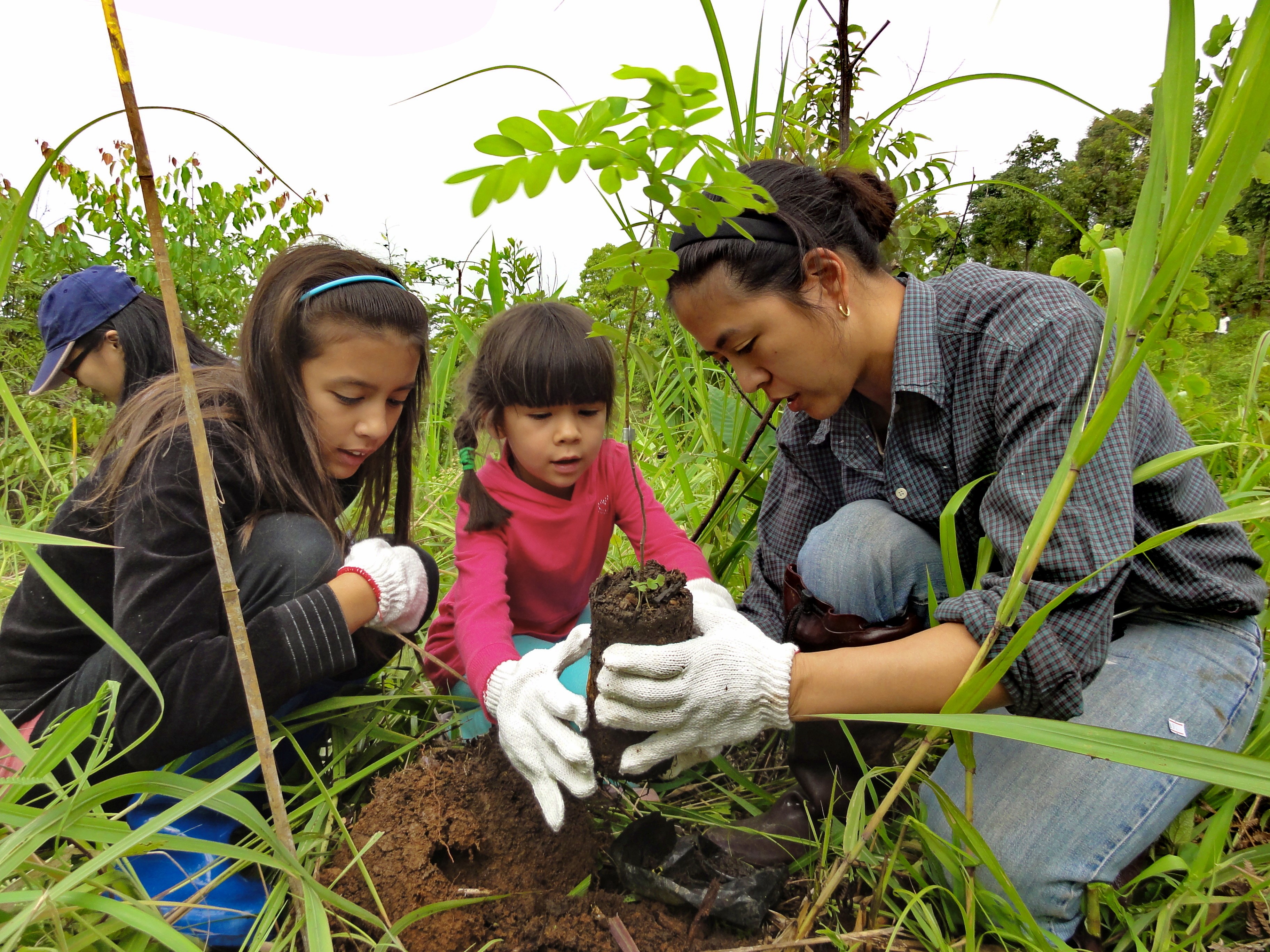 A family plants trees for forest restoration in Thailand