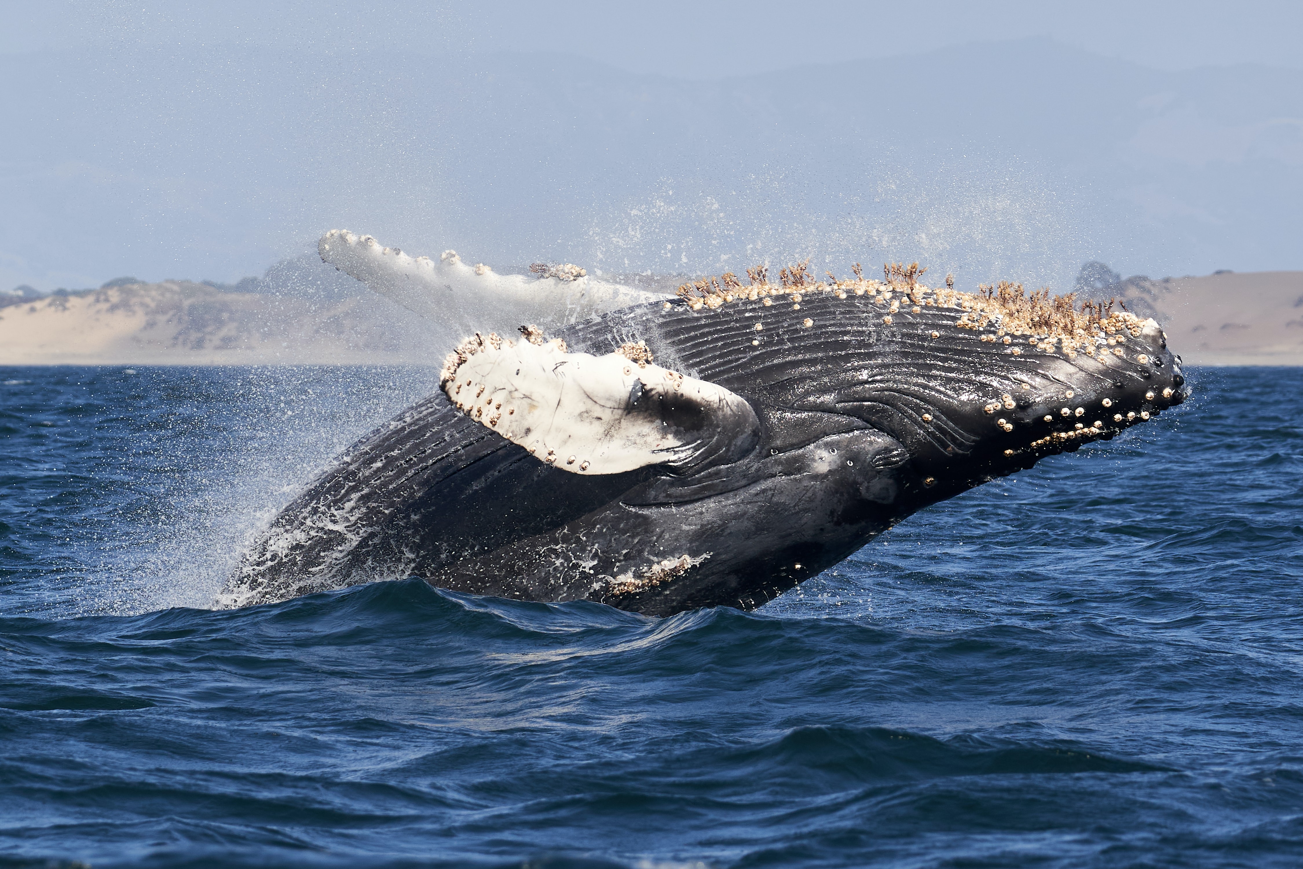 Photo by Mike Doherty on Unsplash