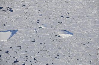 Aerial view of sea ice