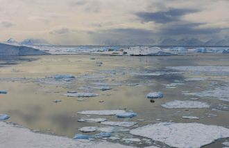 Sea ice in Marguerite Bay