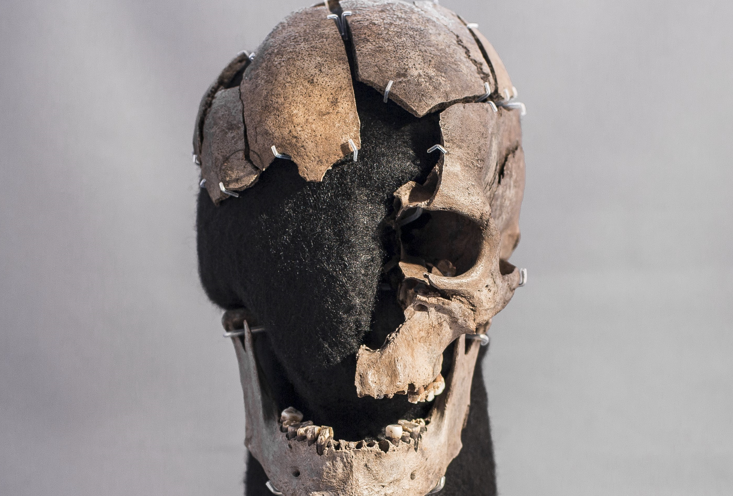 Fischer et al., 2024, PLOS ONE, CC-BY 4.0 (https://creativecommons.org/licenses/by/4.0/)