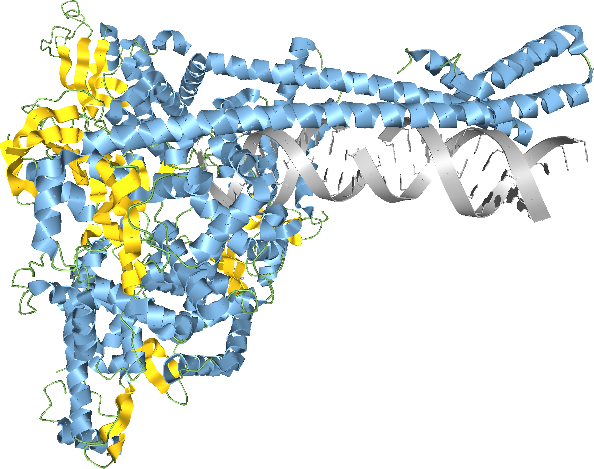 SARS-CoV-2 RNA synthesis complex model. Source: Aquaria
