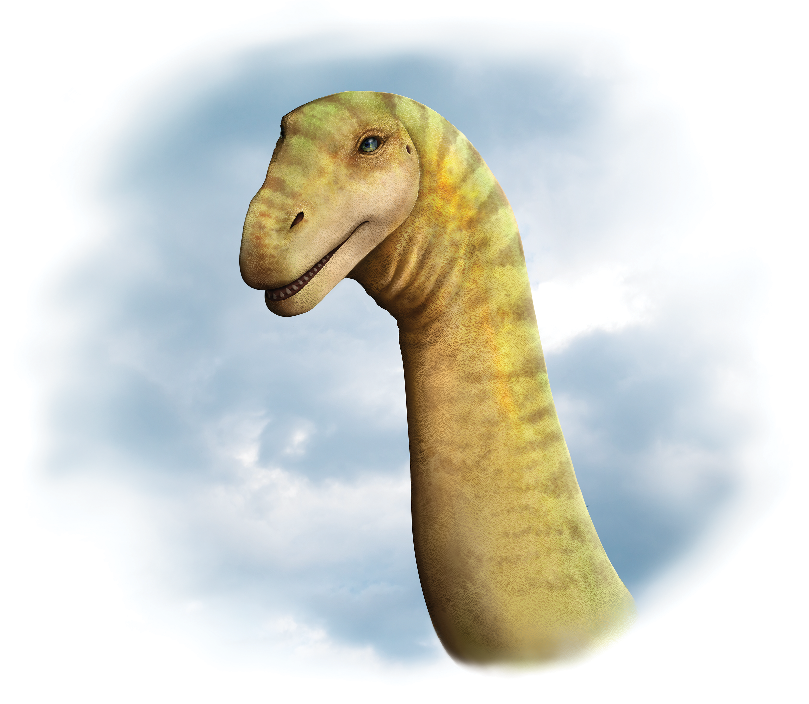 Australian Age of Dinosaurs Museum of Natural History